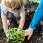 How to Get Your Kids Involved in Gardening?